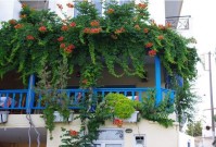 Milonas Restaurant Kamilari south Heraklion