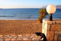 Galini Beach Hotel Kissamos Chania